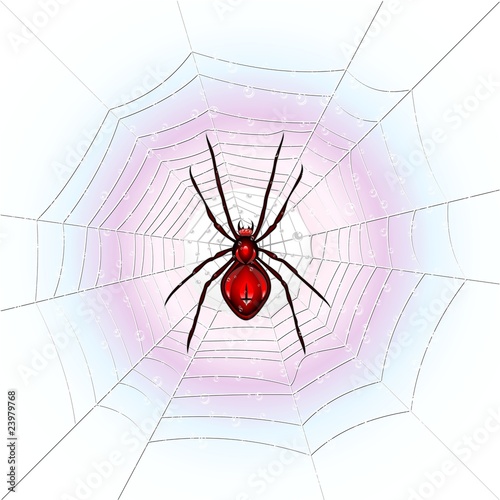 Ragno su Ragnatela-Spider on Web-2-Vector