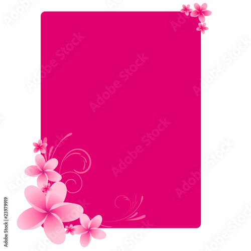 Pink frangipani frame © Artlana