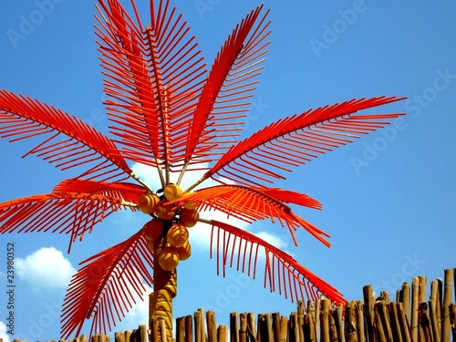 Palme
