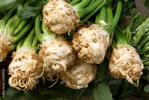 early root celeries with green leaves