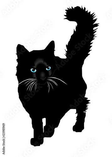 Black cat a silhouette with color eays vector