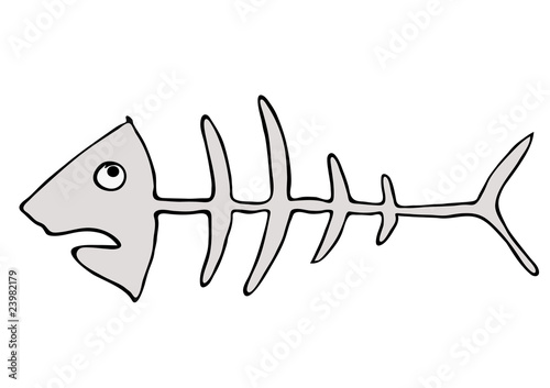 Fish skeleton - fishbones