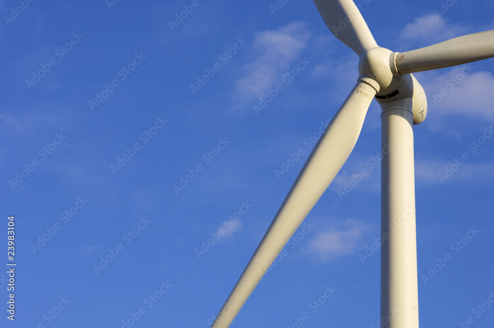 windmill windmill