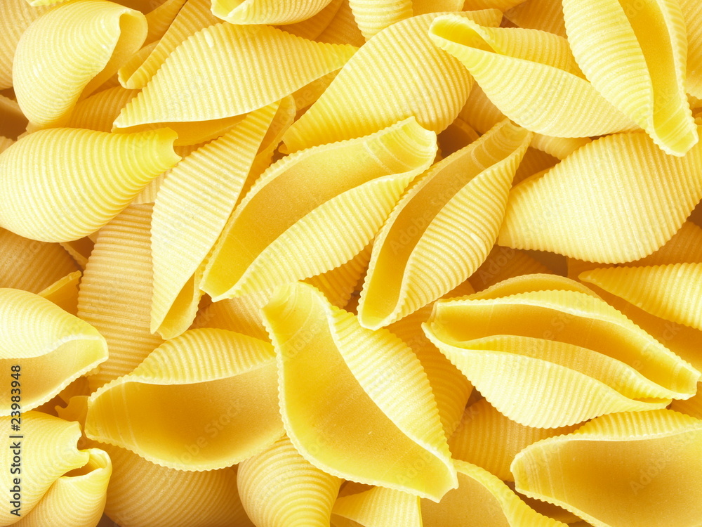 conchiglioni pasta shells conchiglioni pasta shells