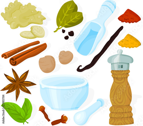 Set of a various spices