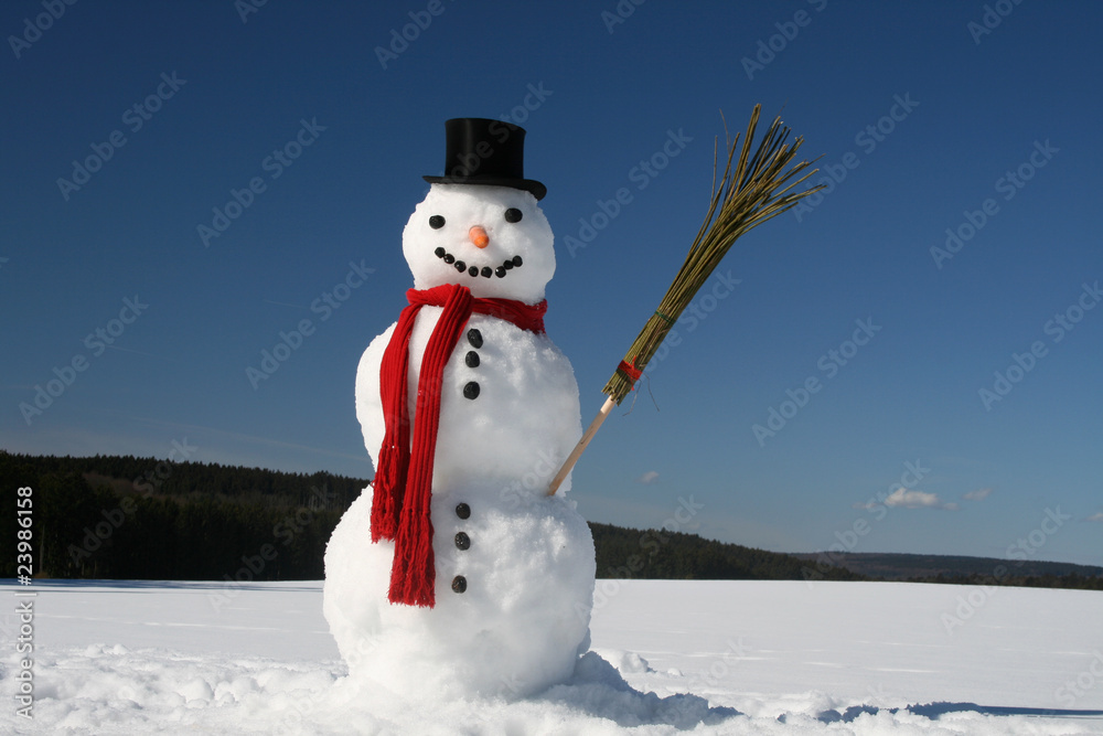 Naklejka premium schneemann