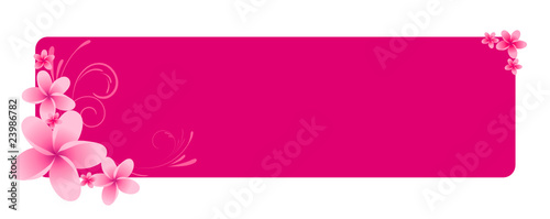Pink horizontal banner with frangipani flowers