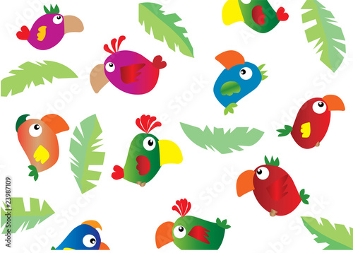 parrots background