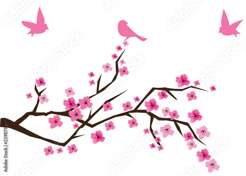 cherry blossom with birds