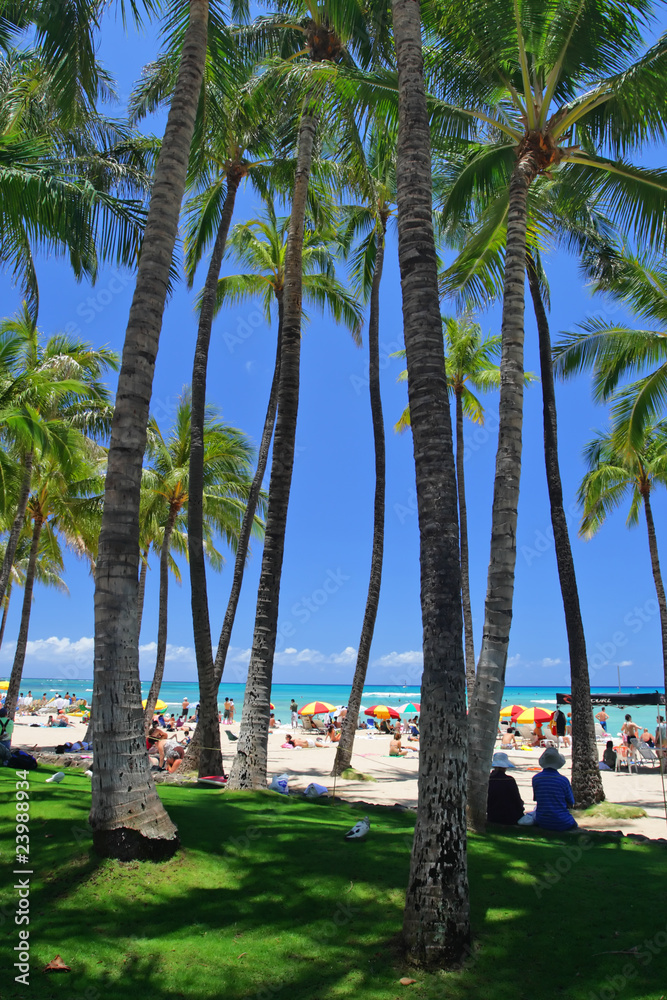 Fototapeta premium Waikiki Beach, Honolulu, Oahu, Hawaii..