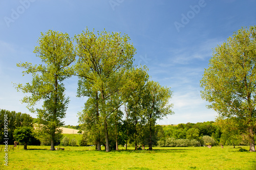 Landscape in Dutch Limburg