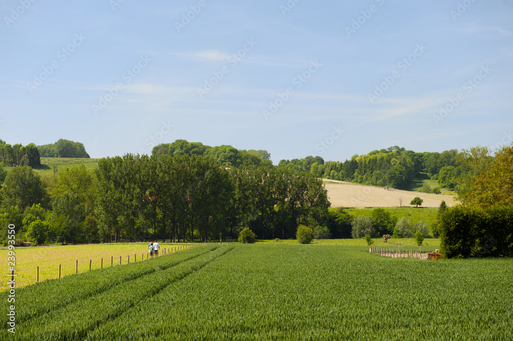 Landscape with hills and agriculture