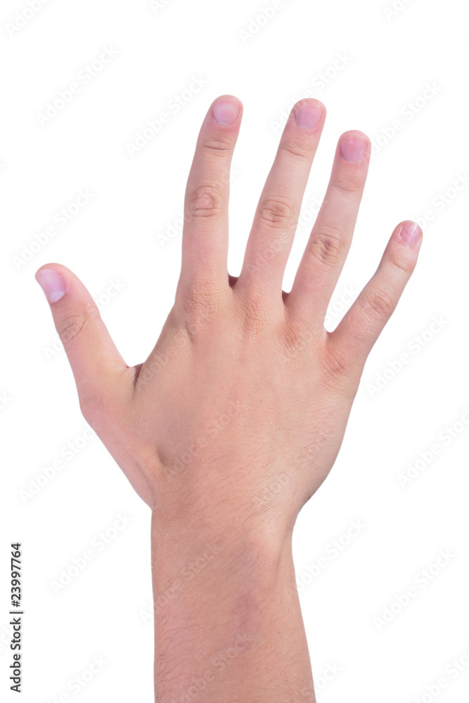Hand