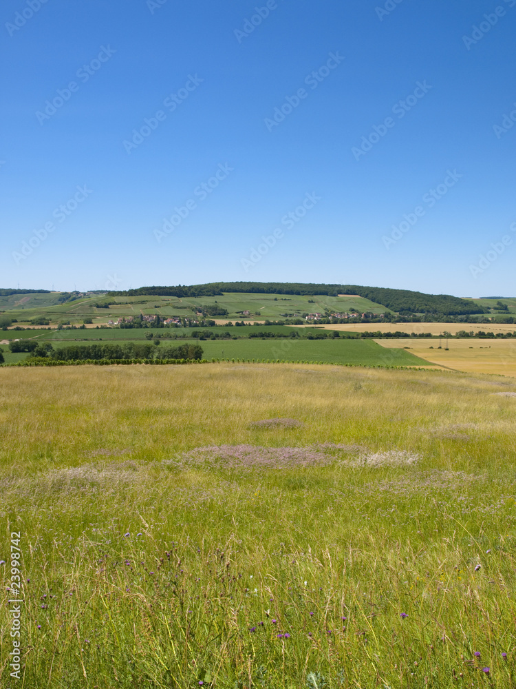 Obraz premium Paysage