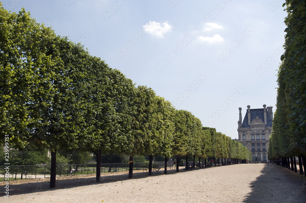 Fototapeta premium Jardin des Tuileries - Paris