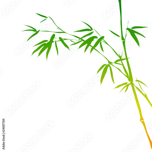 background with bamboo branches