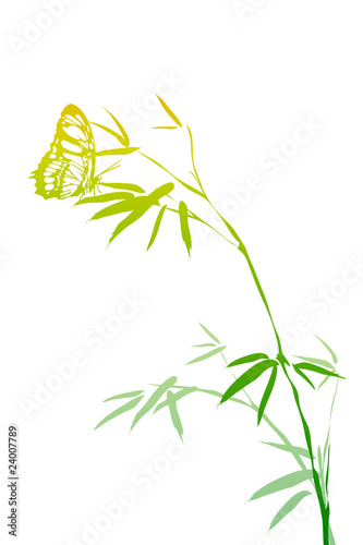 bamboo branches