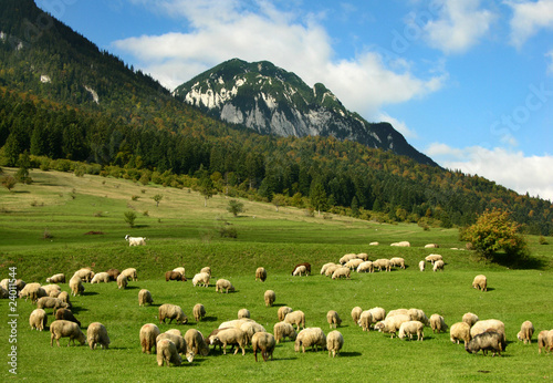 Rural landscape in highlands of Romania
