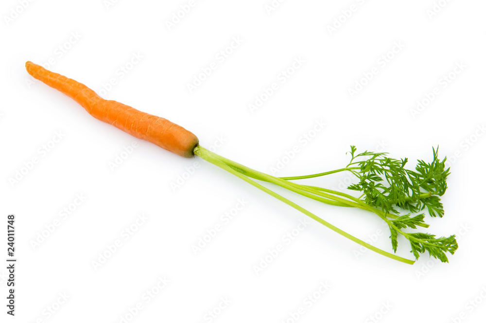 Fresh carrots isolated on the white Fresh carrots isolated on the white