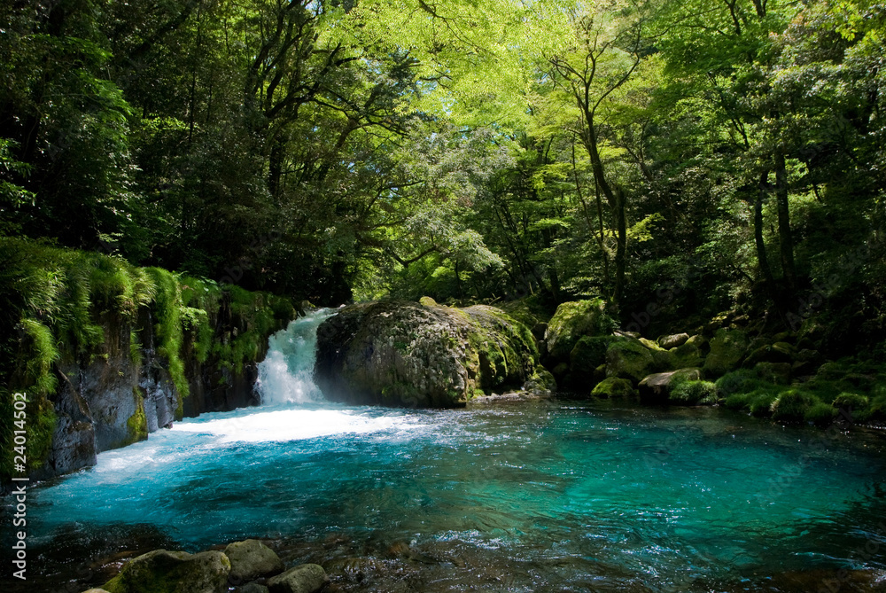 Naklejka premium 渓谷のエメラルドブルーの川面