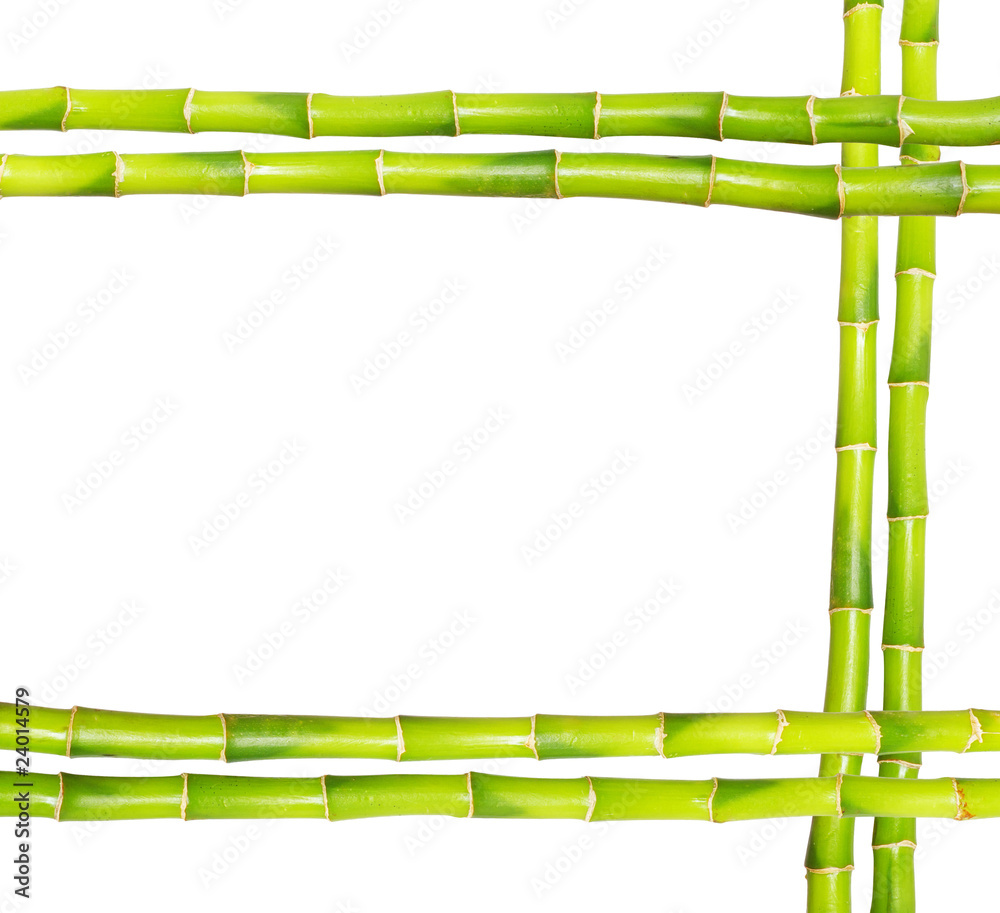 Fototapeta bamboo frame
