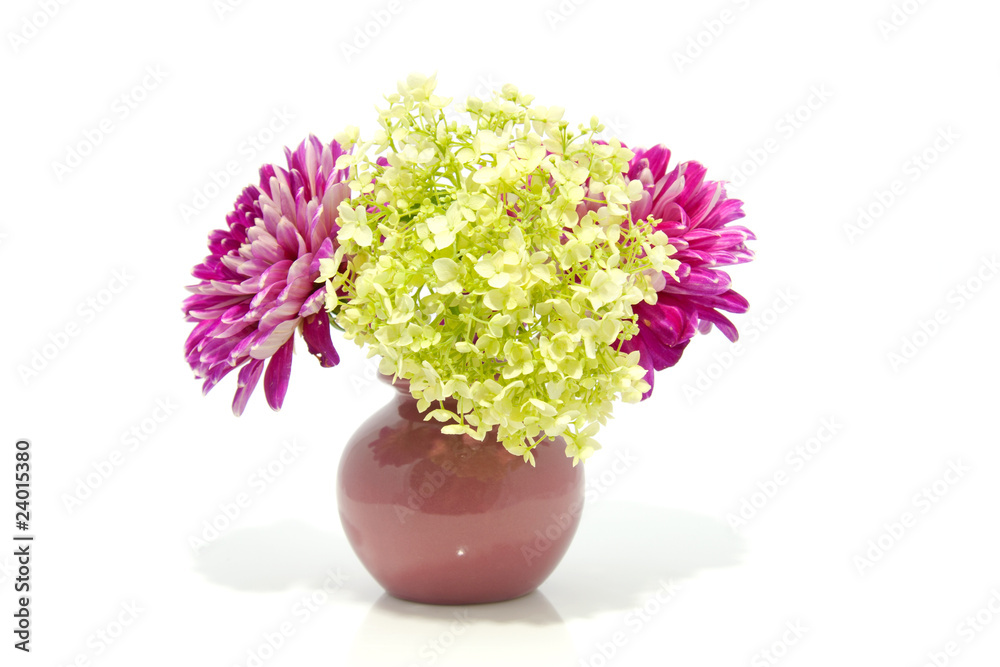 Naklejka premium Dahlia flowers in vase over white background