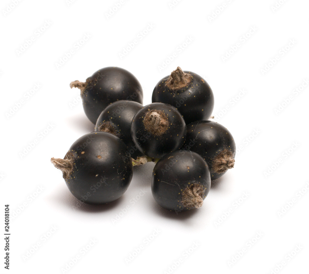 Black currant. Black currant.