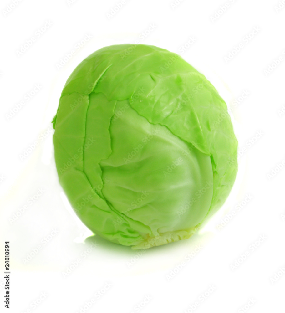 cabbage cabbage
