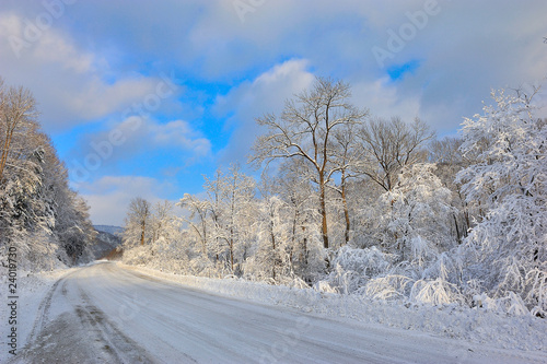 Winter's Tale. © vladsv
