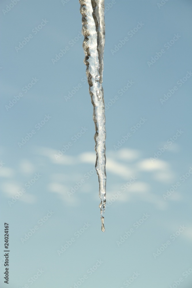 Hanging Icicles Hanging Icicles