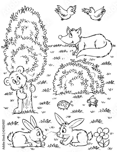 Fox, bear, hares and birds