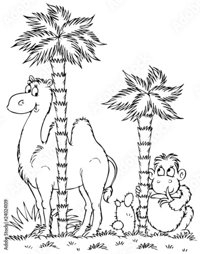 Camel and monkey