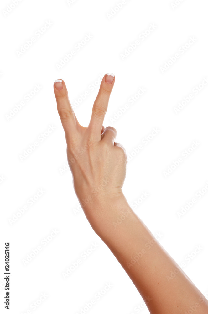 Various signs hands and palms Various signs hands and palms