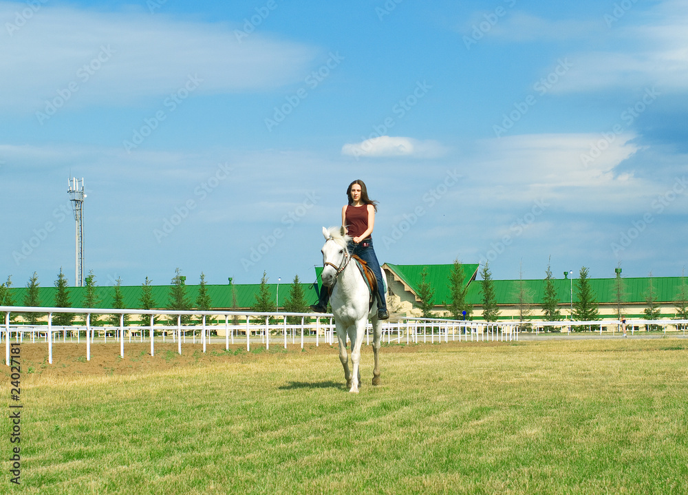 Obraz premium girl embraces a white horse
