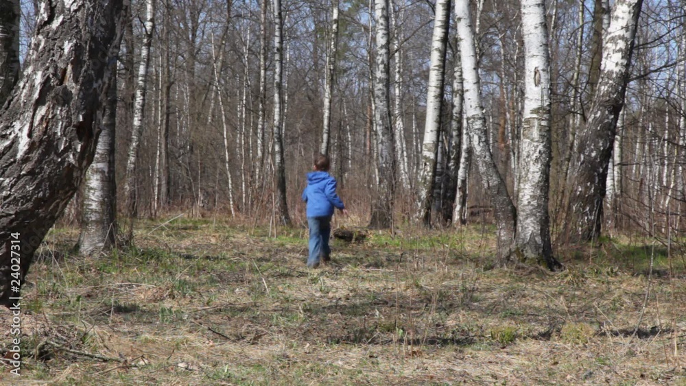 boy runs to spring brich grove from camera boy runs to spring brich grove from camera