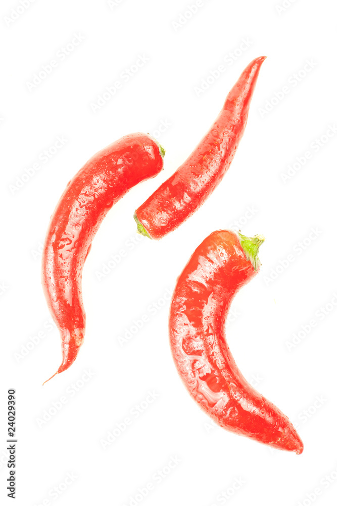 three fresh red hot peppers on white with water drops three fresh red hot peppers on white with water drops