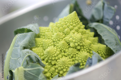 Fototapeta Naklejka Na Ścianę i Meble -  chou romanesco