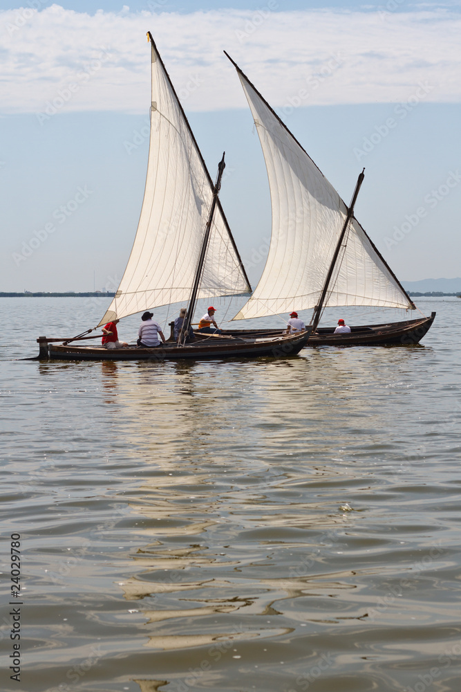 Barcas de vela latina