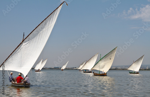Barcos de vela latina, en España photo