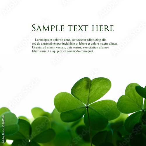 Valokuvatapetti Green clover leafs border with space for text.