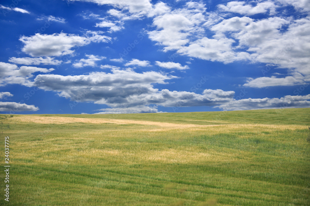 Fototapeta premium beautiful landscape