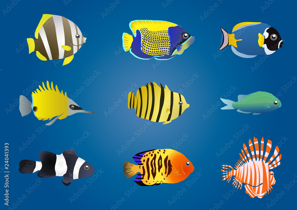 Vector illustration of exotic fishes on a blue background
