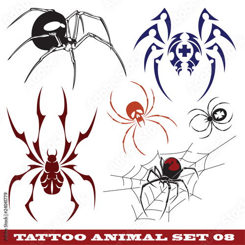 templates spiders for tattoo and design on different topics