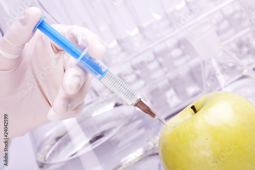 Genetically modified apple