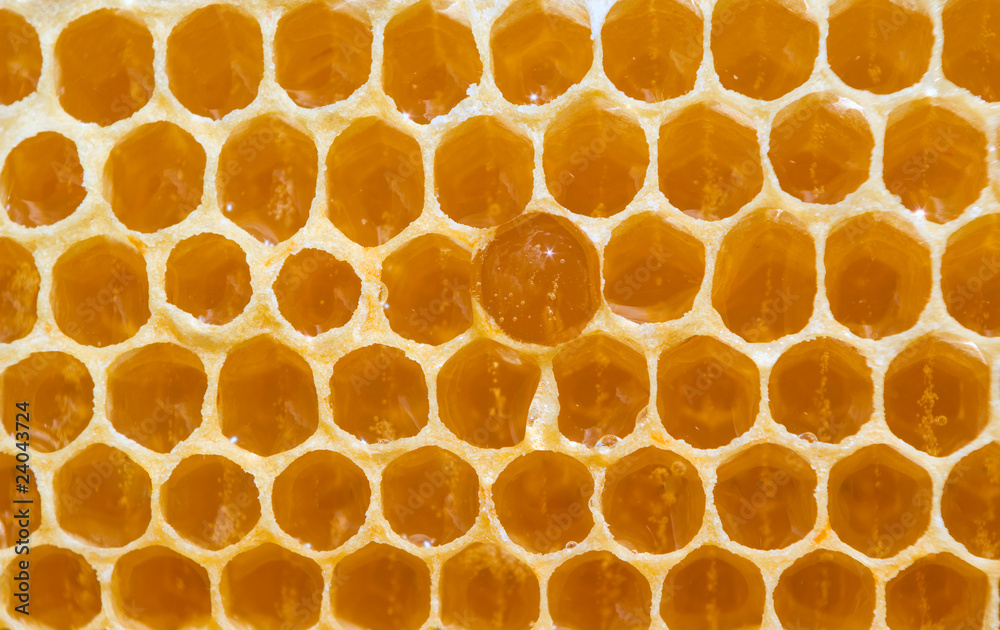 One honeycomb with drop of honey.
