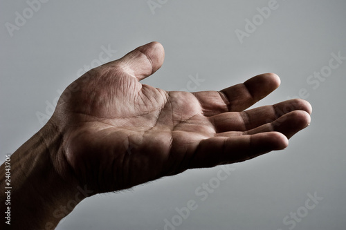 Fotografía main
