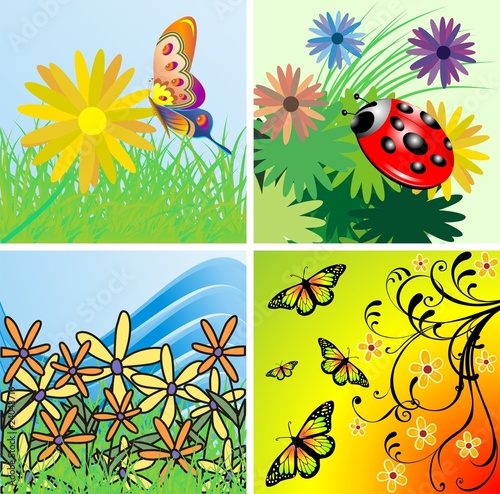 Natura e Insetti Sfondi-Nature and Insects Background