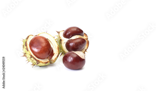 Little chestnuts on a white.