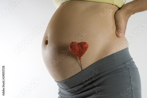 Wallpaper Mural bauch Torontodigital.ca