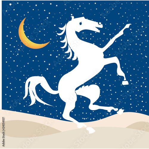 cavallo
